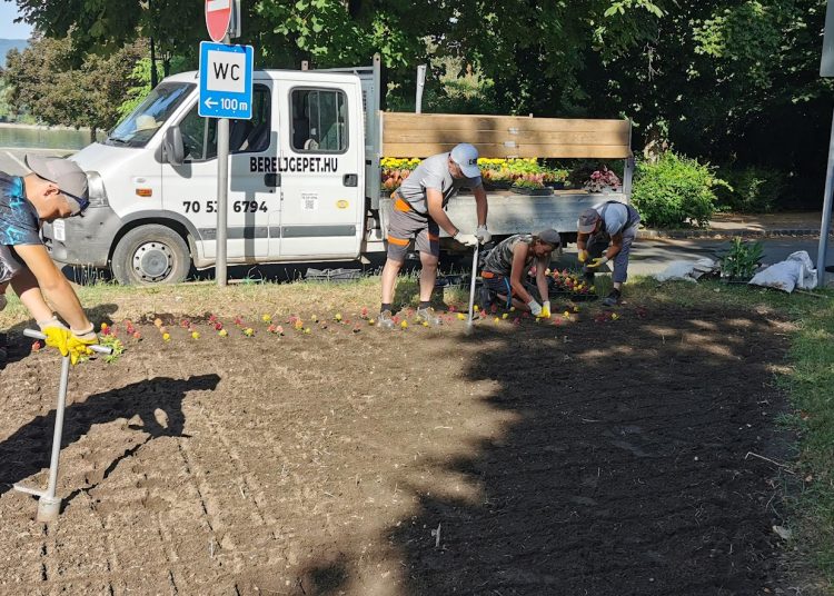 A Váci Városfejlesztő Kft. heti beszámolója