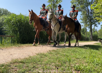 Fokozott jelenlétért cserébe tiszteletjegy