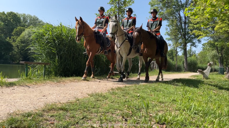 Fokozott jelenlétért cserébe tiszteletjegy