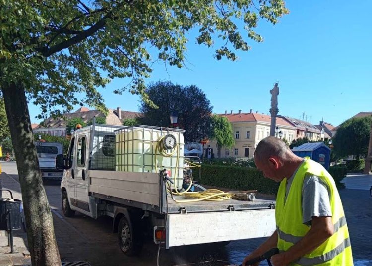 A Váci Városfejlesztő Kft. heti beszámolója