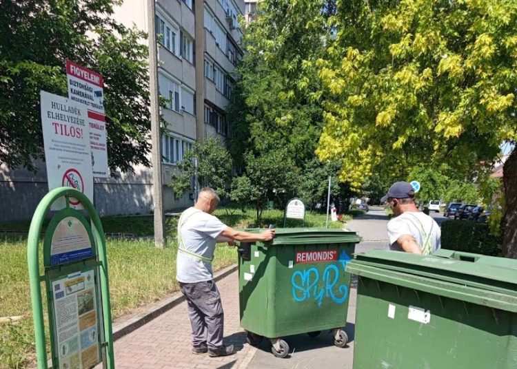 A Váci Városfejlesztő Kft. heti beszámolója