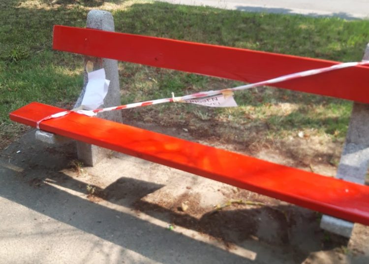 A Váci Városfejlesztő Kft. heti beszámolója