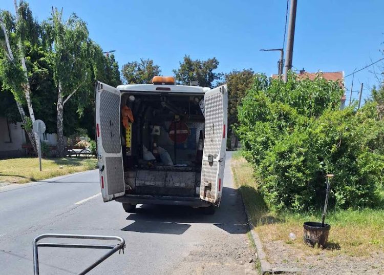 A Váci Városfejlesztő Kft. heti beszámolója