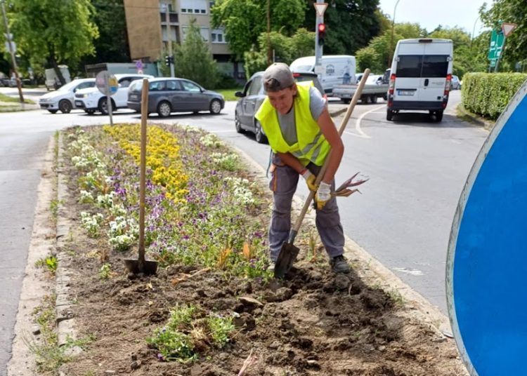 A Váci Városfejlesztő Kft. 2025.06.02. – 2025.06.08. közötti munkái