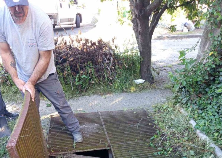 Ezeken dolgozott a Városfejlesztő Kft. 2025.05.26. – 2025.06.01. között