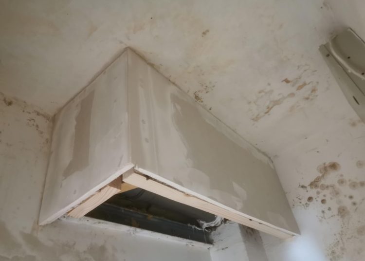 A Váci Városfejlesztő Kft. heti beszámolója