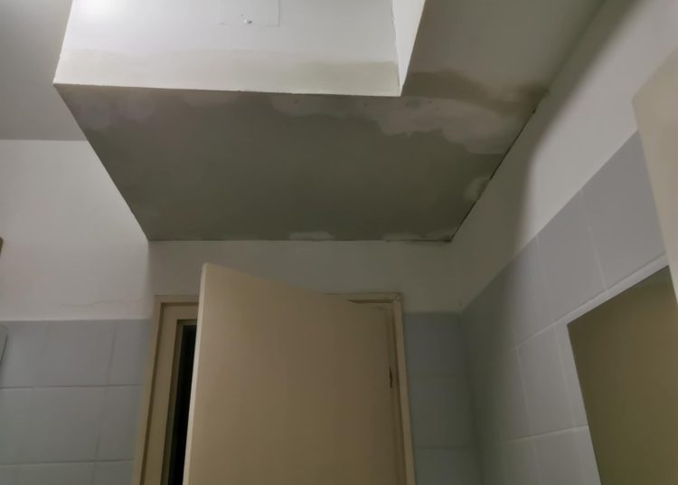 A Váci Városfejlesztő Kft. heti beszámolója