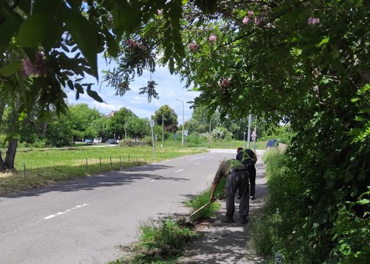 Ezeken dolgozott a Városfejlesztő Kft. 2025.05.26. – 2025.06.01. között