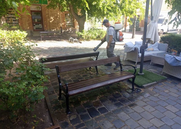 A Váci Városfejlesztő Kft. heti beszámolója