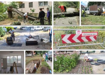 A Városfejlesztő Kft. heti beszámolója