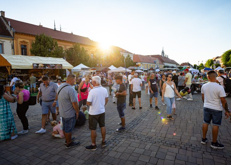 Néhány fotó a Váci Világi Vigalom elkapott pillanatairól (2025)