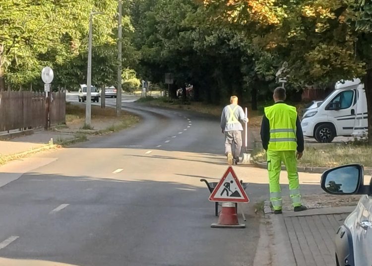 A Városfejlesztő Kft. heti beszámolója