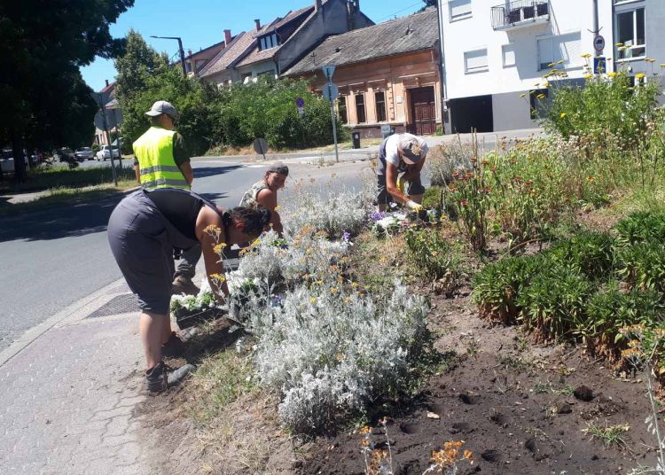 A Városfejlesztő Kft. heti beszámolója