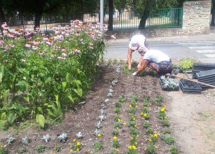 A Városfejlesztő Kft. heti beszámolója
