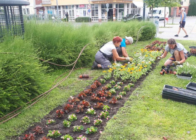 A Városfejlesztő Kft. heti beszámolója