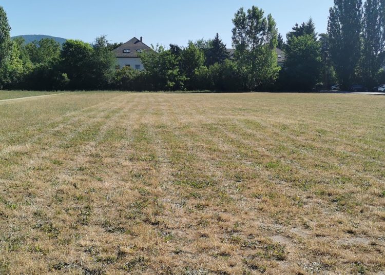 A Városfejlesztő Kft. heti beszámolója