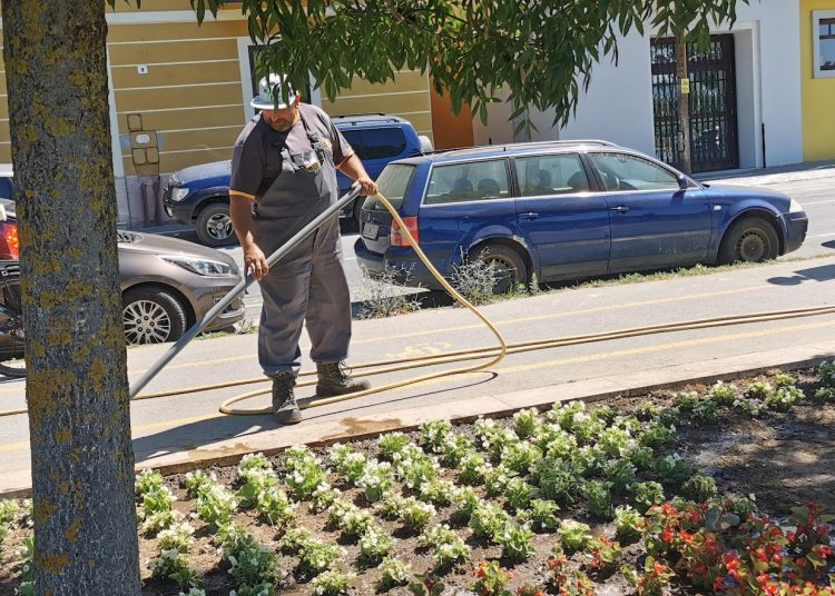 A Városfejlesztő Kft. heti beszámolója