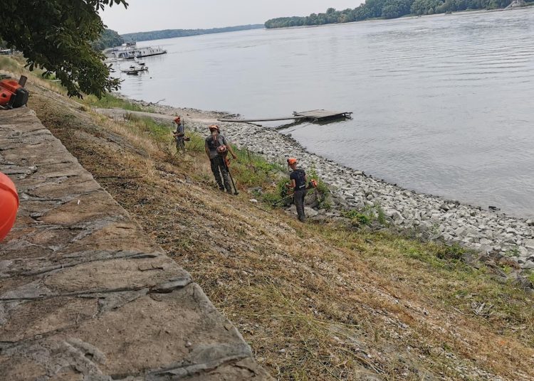 A Városfejlesztő Kft. heti beszámolója
