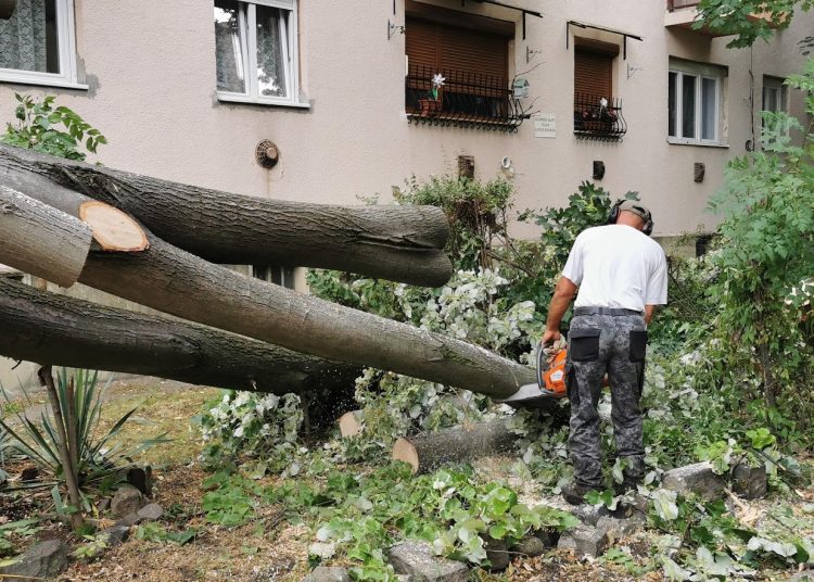 A Városfejlesztő Kft. heti beszámolója