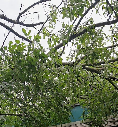 A Városfejlesztő Kft. heti beszámolója