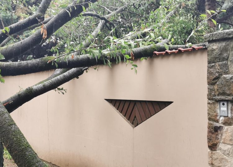 A Városfejlesztő Kft. heti beszámolója