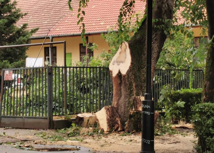 A Városfejlesztő Kft. heti beszámolója