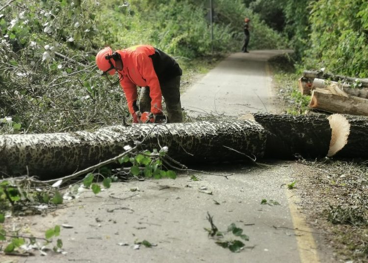 A Városfejlesztő Kft. heti beszámolója
