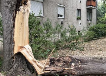 Fák dőltek ki, vezetékek szakadtak le – nem kímélte a vihar Vácot sem – videóval