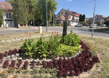 Viharkárok utáni összegzés – videóval