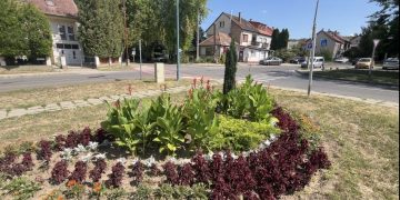 Viharkárok utáni összegzés – videóval