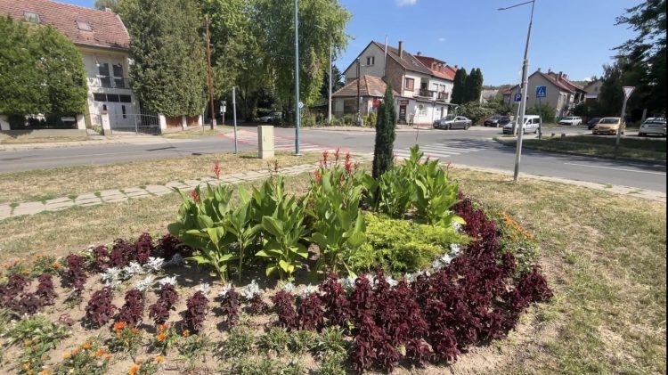 Viharkárok utáni összegzés – videóval