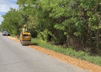 A Borász utcától a Csipkerózsa utcáig megújul a padka a Sejcei úton – videóval