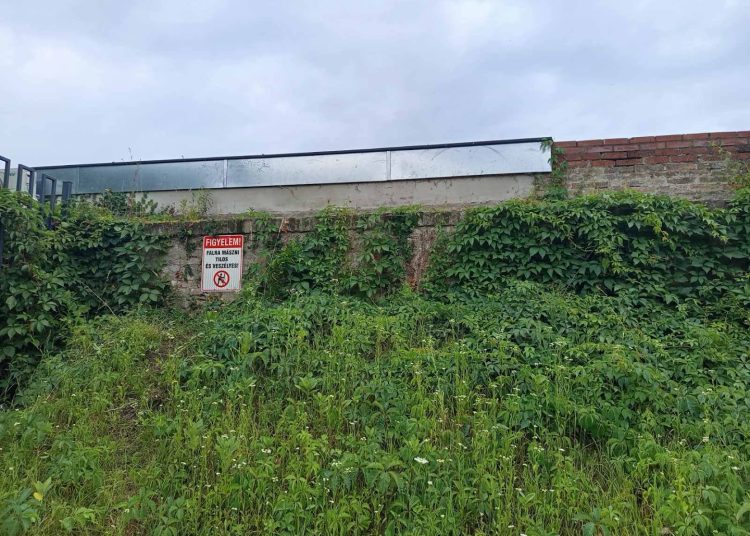 A Városfejlesztő Kft. heti beszámolója