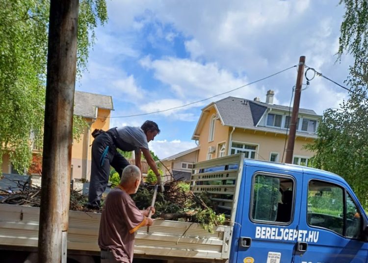 A Városfejlesztő Kft. heti beszámolója