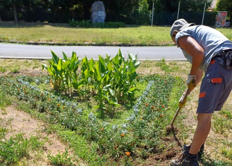 A Városfejlesztő Kft. heti beszámolója