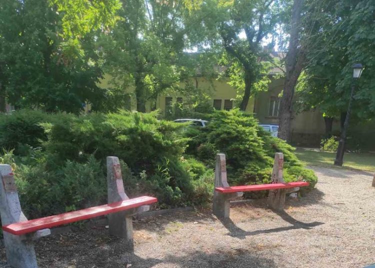 A Városfejlesztő Kft. heti beszámolója