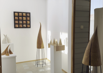 Tüskék a térben – Detkovics Anikó kiállítása a Torony Galériában