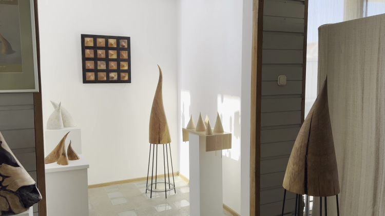 Tüskék a térben – Detkovics Anikó kiállítása a Torony Galériában