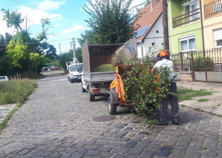 A Váci Városfejlesztő Kft. heti beszámolója