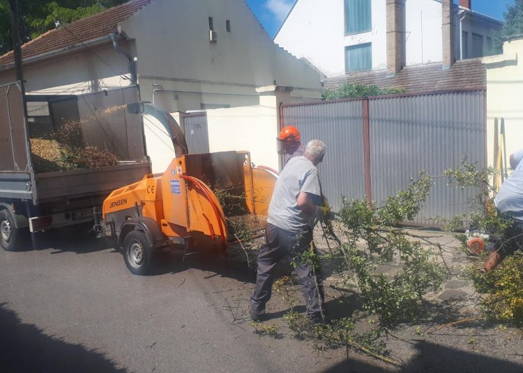 A Váci Városfejlesztő Kft. heti beszámolója