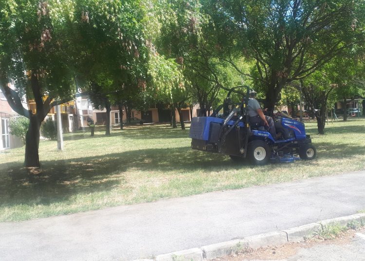 A Váci Városfejlesztő Kft. heti beszámolója