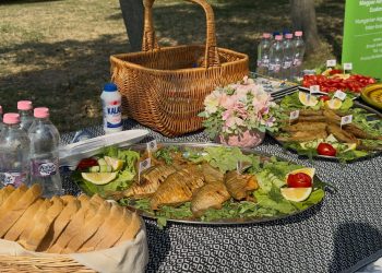 Idén három napos lesz a halfesztivál a váci Duna-parton – videóval