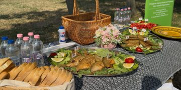 Idén három napos lesz a halfesztivál a váci Duna-parton – videóval