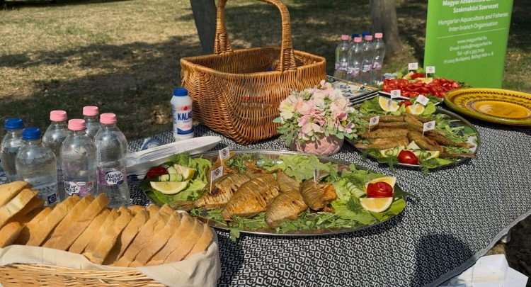 Idén három napos lesz a halfesztivál a váci Duna-parton – videóval