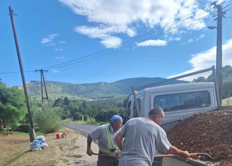 A Váci Városfejlesztő Kft. heti beszámolója