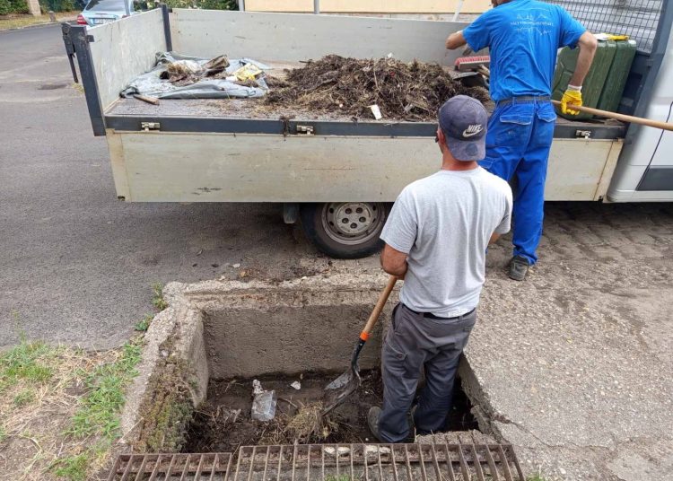 A Váci Városfejlesztő Kft. heti beszámolója