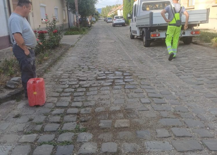 A Váci Városfejlesztő Kft. heti beszámolója