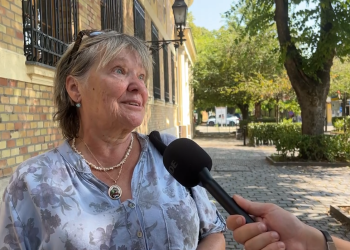 Kell-e szállodahajó kikötő Vácnak?