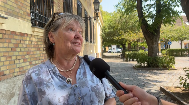 Kell-e szállodahajó kikötő Vácnak?