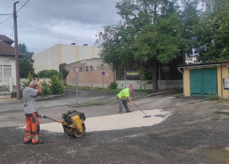 A Váci Városfejlesztő Kft. heti beszámolója